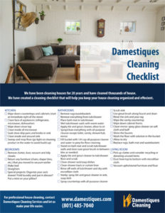 Damestiques Cleaning Checklist