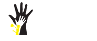 Damestiques Cleaning Services